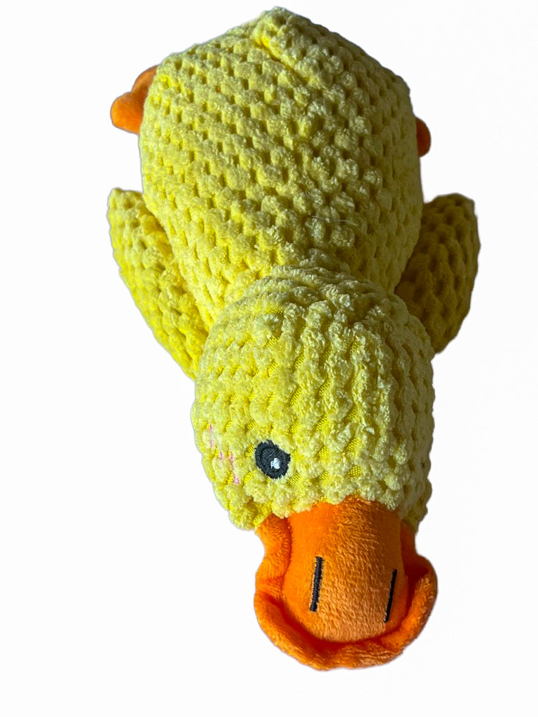 Peluche canard jaune pour petit chien de 24 cm
