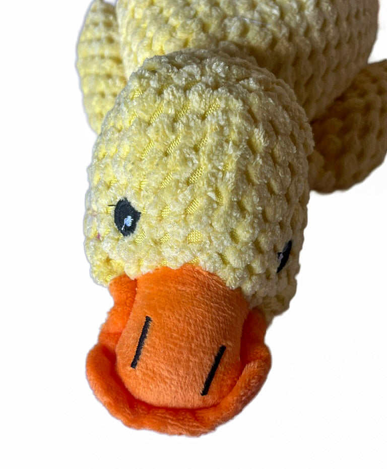Peluche canard jaune pour petit chien de 24 cm