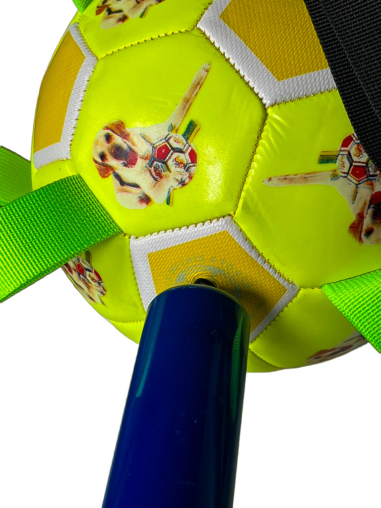 Ballon à lanières interactif fluorescent pour toutes les races de chiens